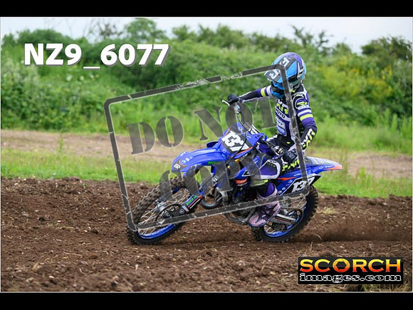 Experts-184