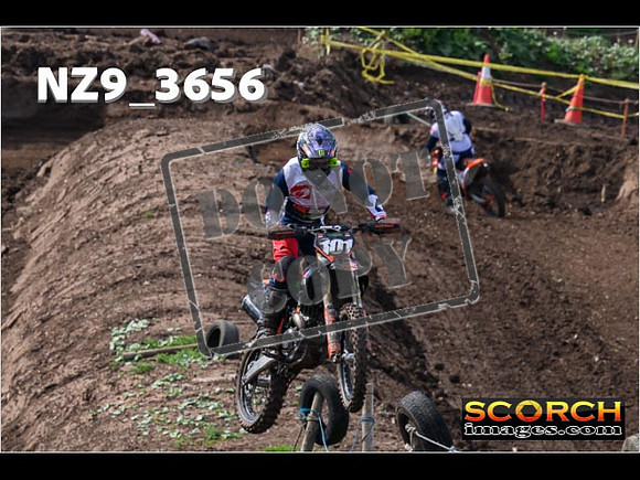 Experts-104