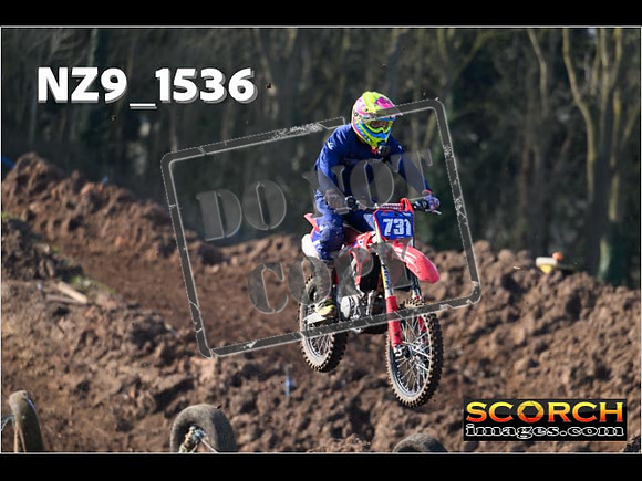 Experts-080