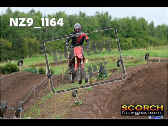 Experts-113