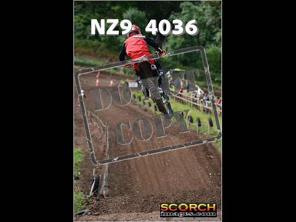Experts-142