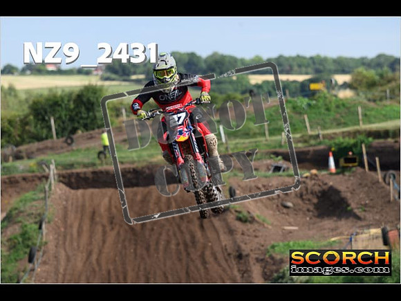 Experts-088