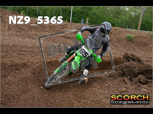 Experts-141