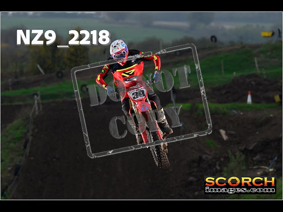 Experts-218