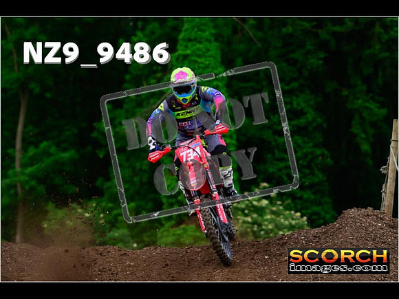 Experts-085