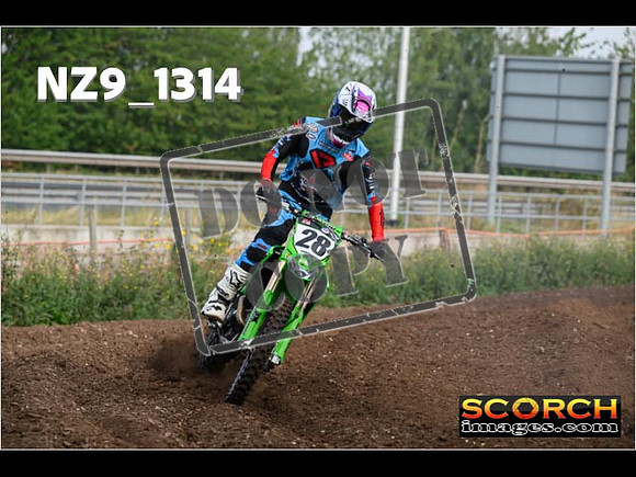 Experts-022