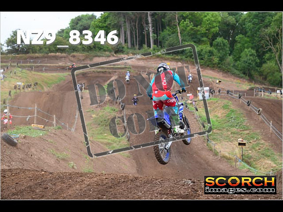 Experts-039