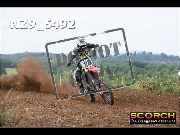 Experts-205