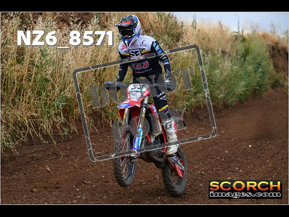 Experts-091