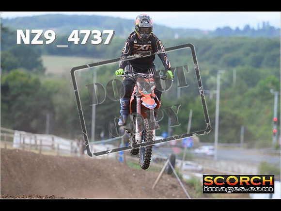 Experts-119
