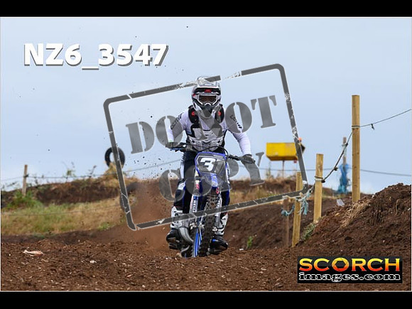 IntersGreen-066