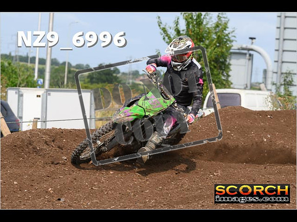 Experts-393