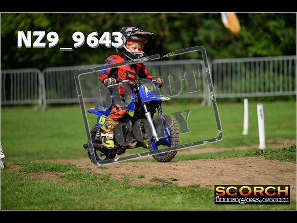 PeeWee Track-12