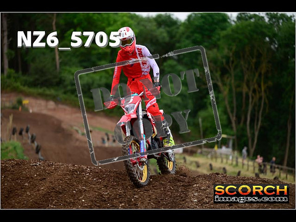 Inters Green-144