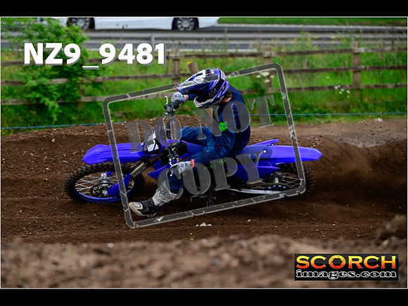 Experts-080
