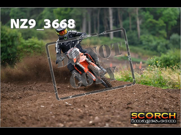 Experts-076