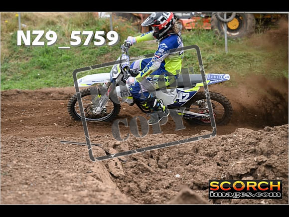 Experts-229