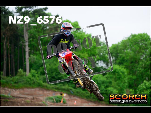 InterGreen-084