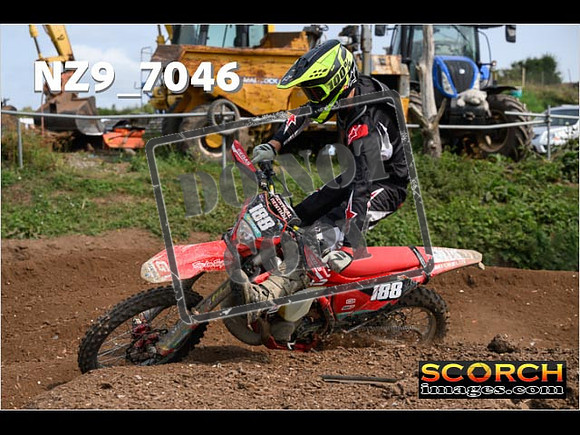 Experts-442