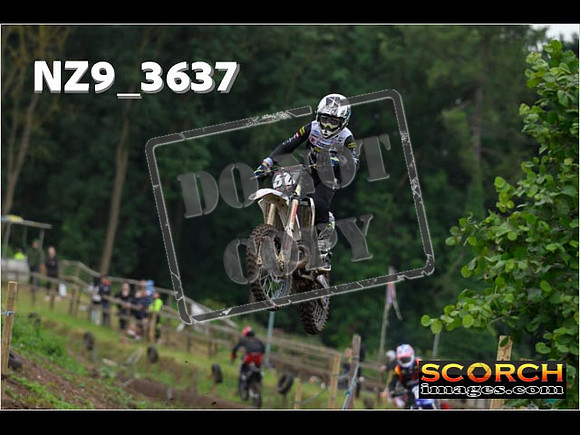Experts-047