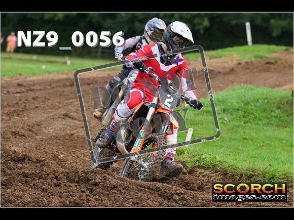 Novice-229