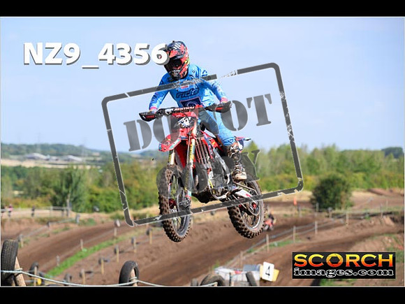 Experts-088