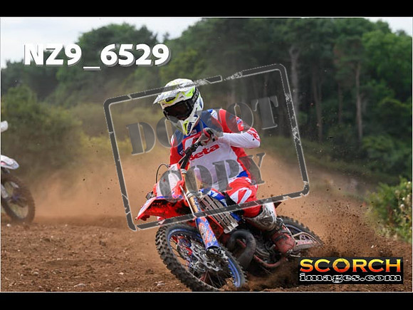 Experts-238