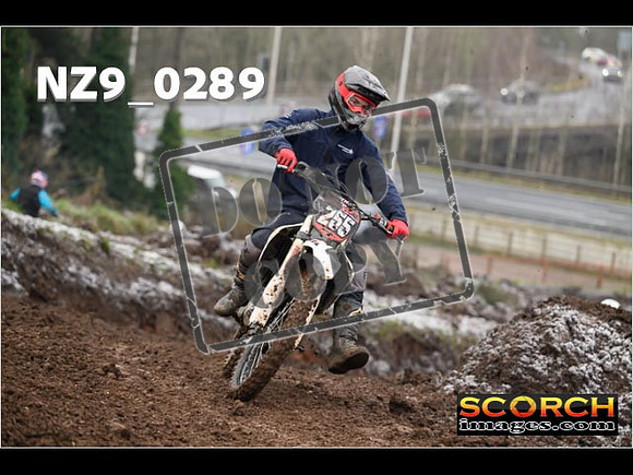 IntersGreenOrange-005