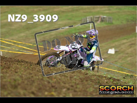 Experts-098