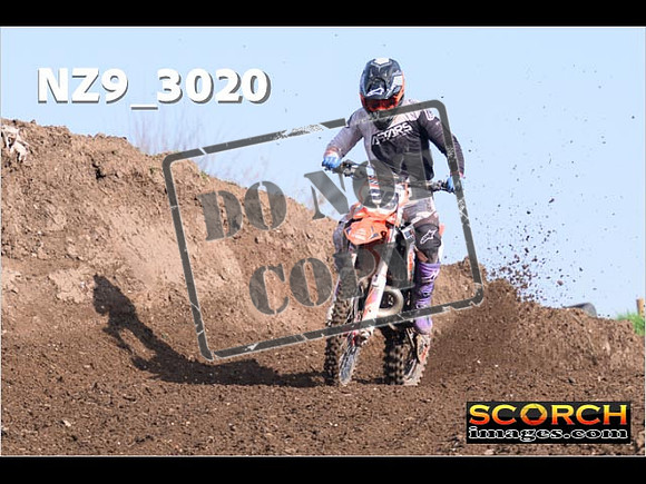 Experts-058
