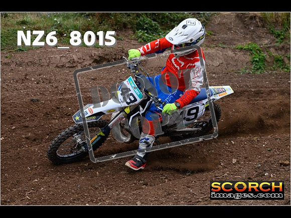 Experts-201