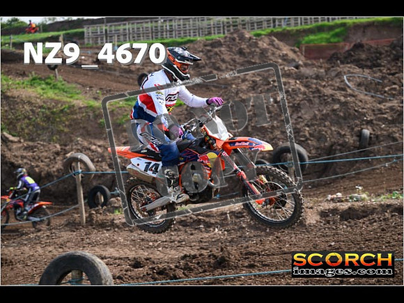 Experts-053