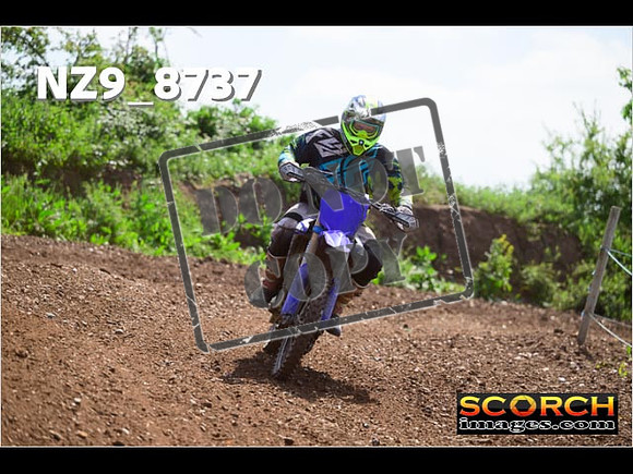 IntersGreenOrange-399