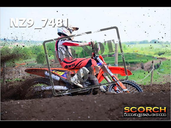 Experts-121