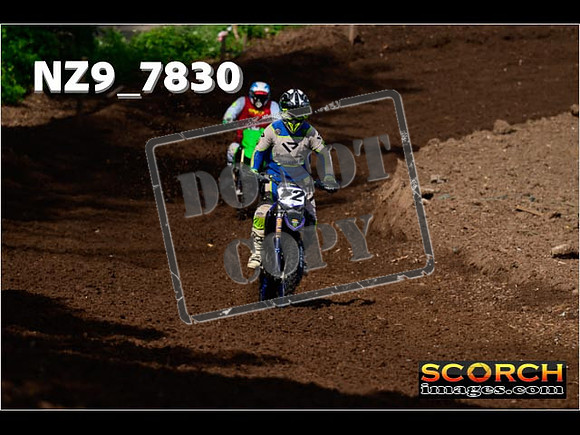 IntersGreenOrange-034