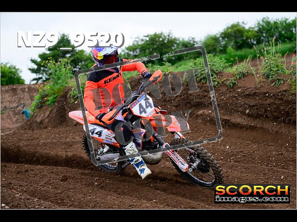 Experts-119