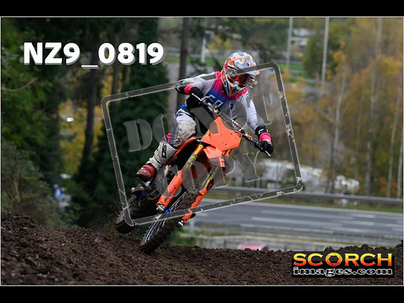 Experts-120