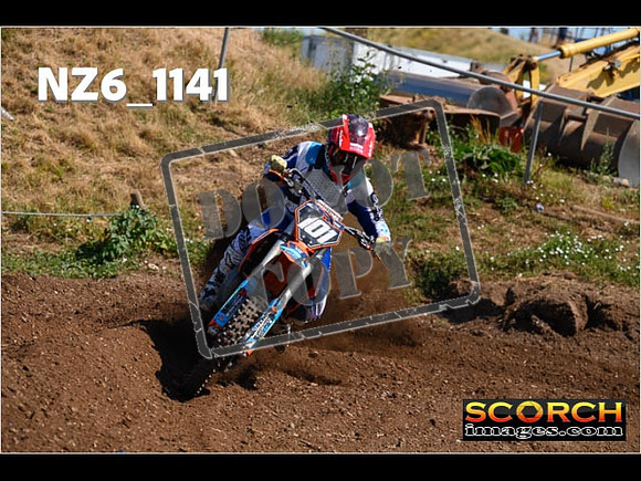 Experts-110