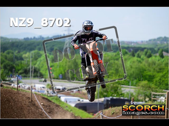 IntersGreenOrange-368