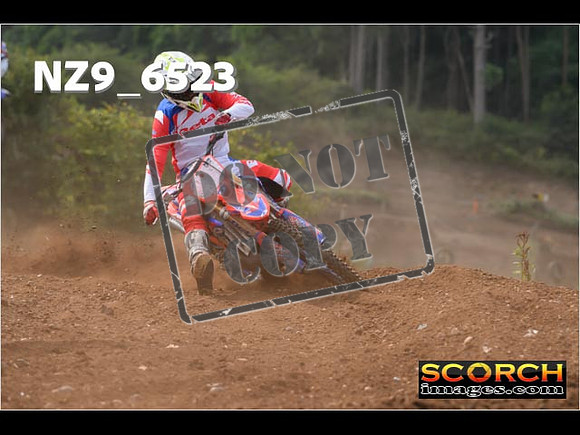 Experts-232