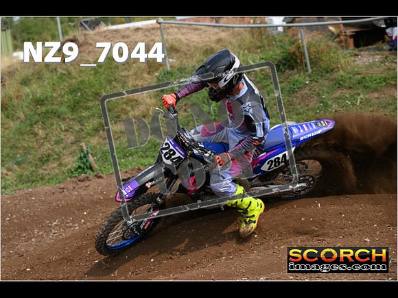Experts-440