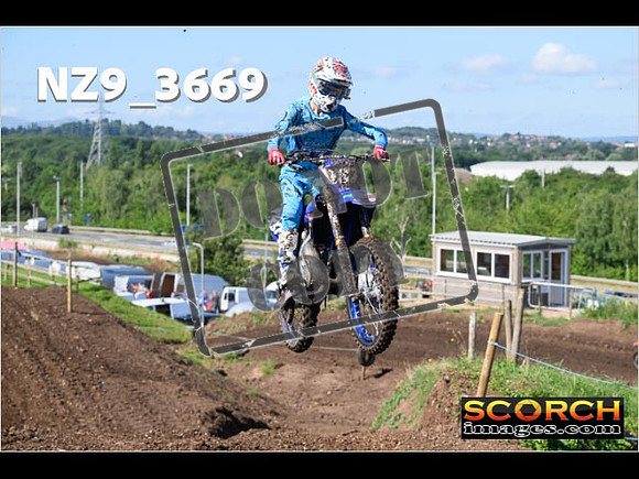 Experts-035