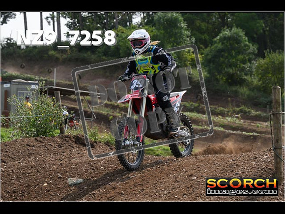 Inters Green-249