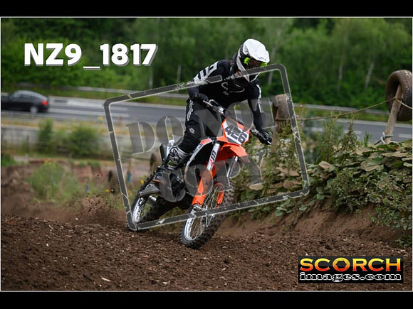 IntersGreenOrange-070