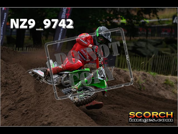 MX1-294