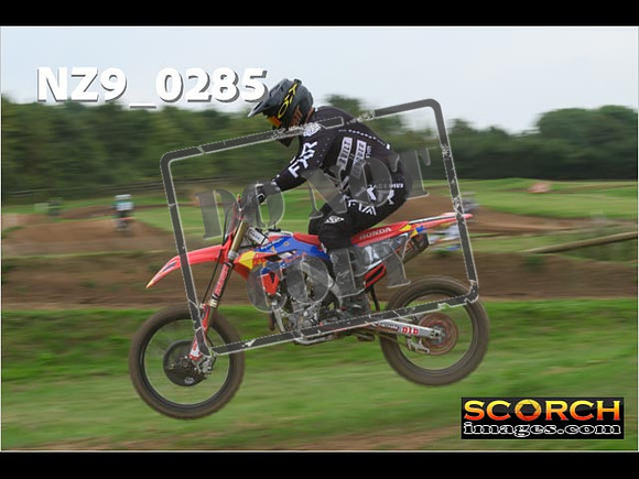 Novice-259