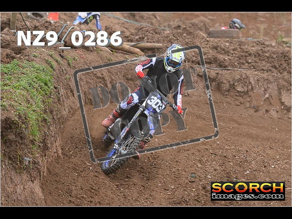 Experts-009