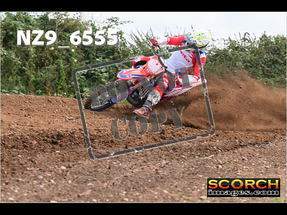 Experts-264