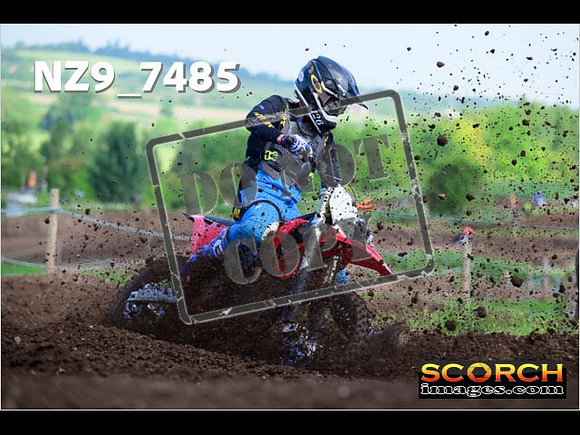 Experts-125