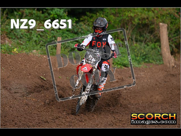 Red- Over 60-032